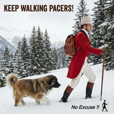 Johnnie's 10K Walkers Johnnie👣Walker post image