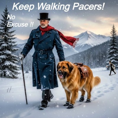 Johnnie's 10K Walkers Johnnie👣Walker post image