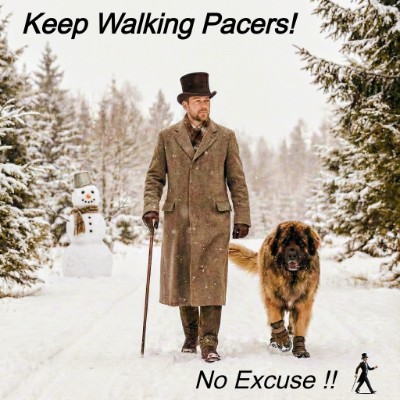 Johnnie's 10K Walkers Johnnie👣Walker post image