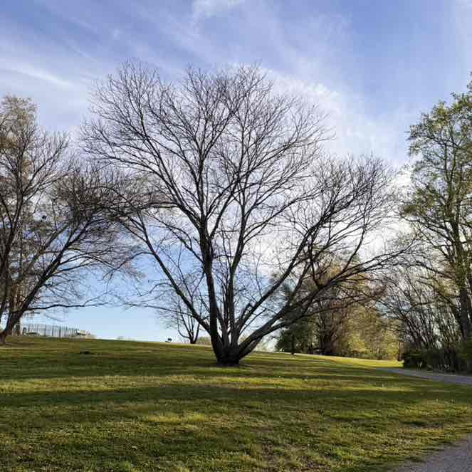 Ranjith Kumar post 2