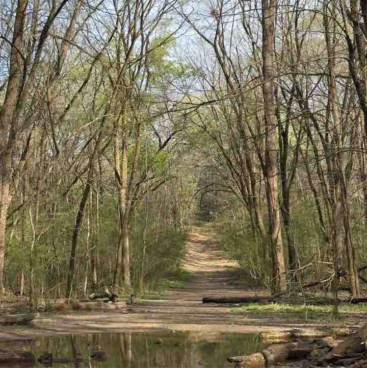 Ranjith Kumar post 1