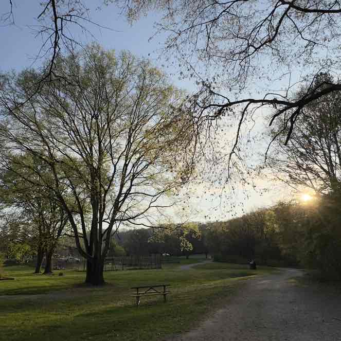 Ranjith Kumar post 1