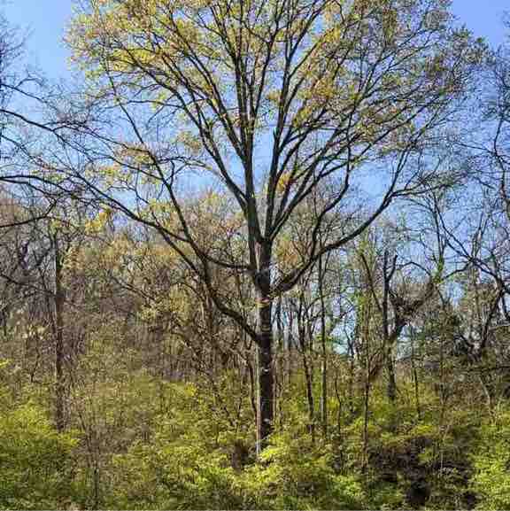 Ranjith Kumar post 2