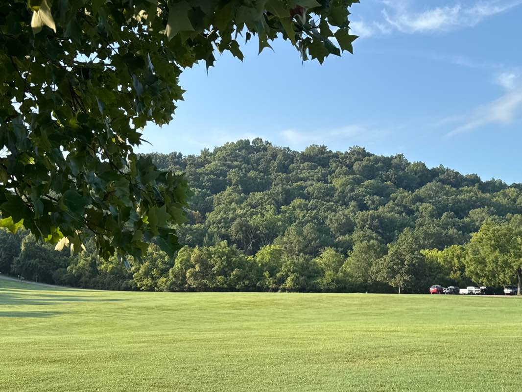 walking near me in Greenway Farms in summer