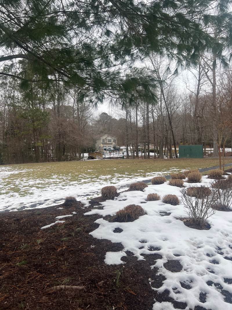 walking near me in Pepperidge Park in winter