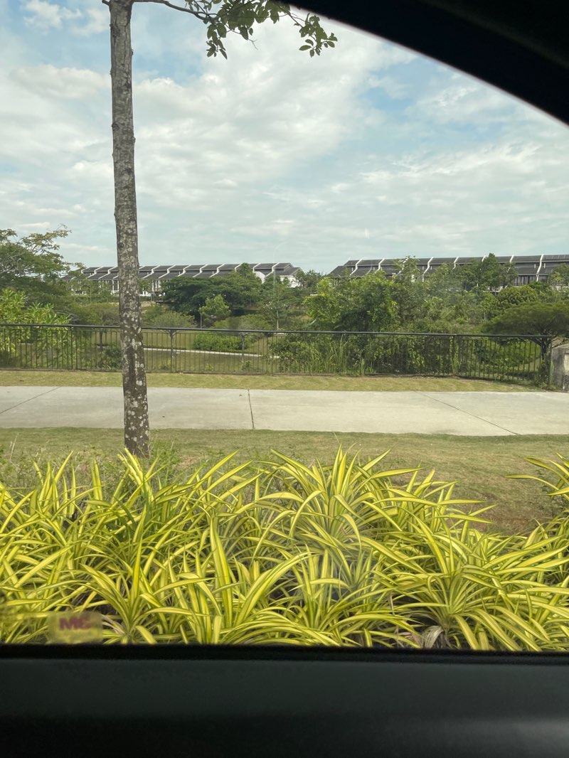 walking near me in Elmina Valley Central Park in summer