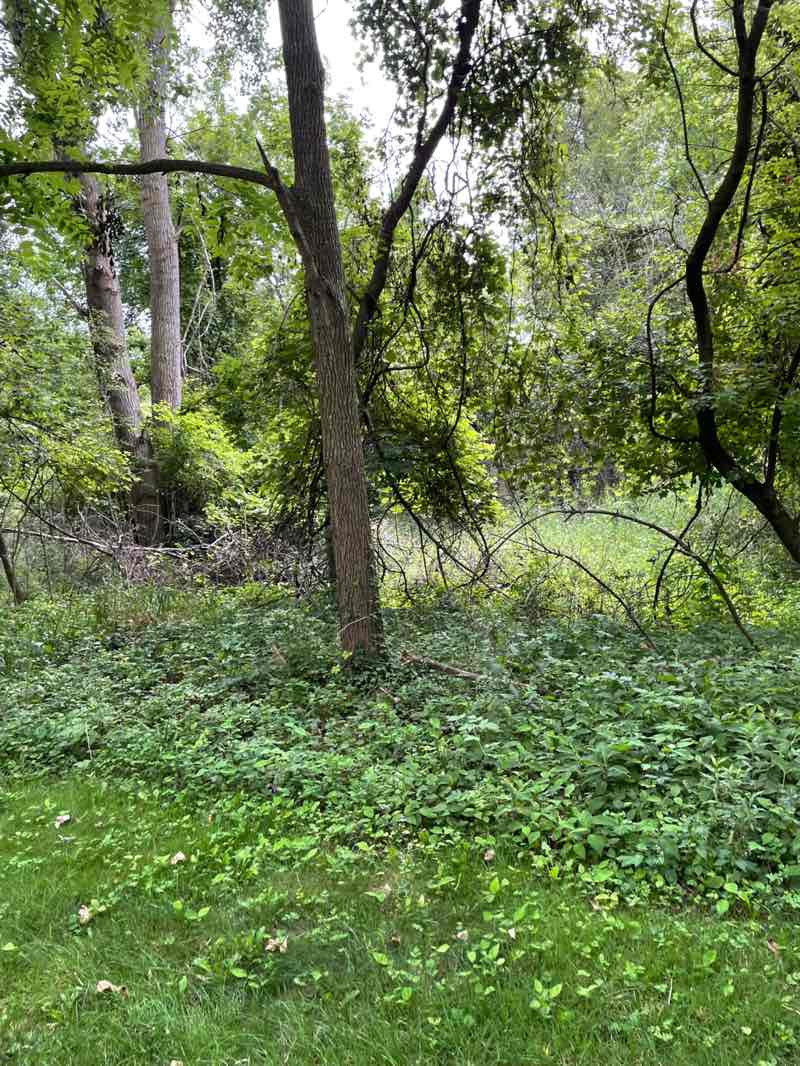 walking near me in Rotary Park in autumn