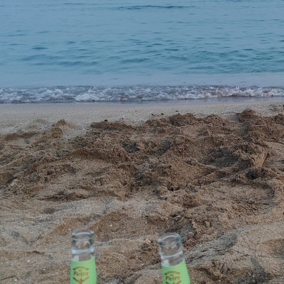 France Travail Joly Jean Lisa MOUGENOT post image