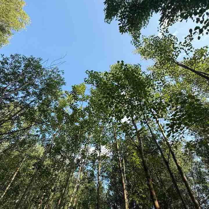 Ходоки 5.0 (Дивизион АУП) Эльвира Луканичева post image