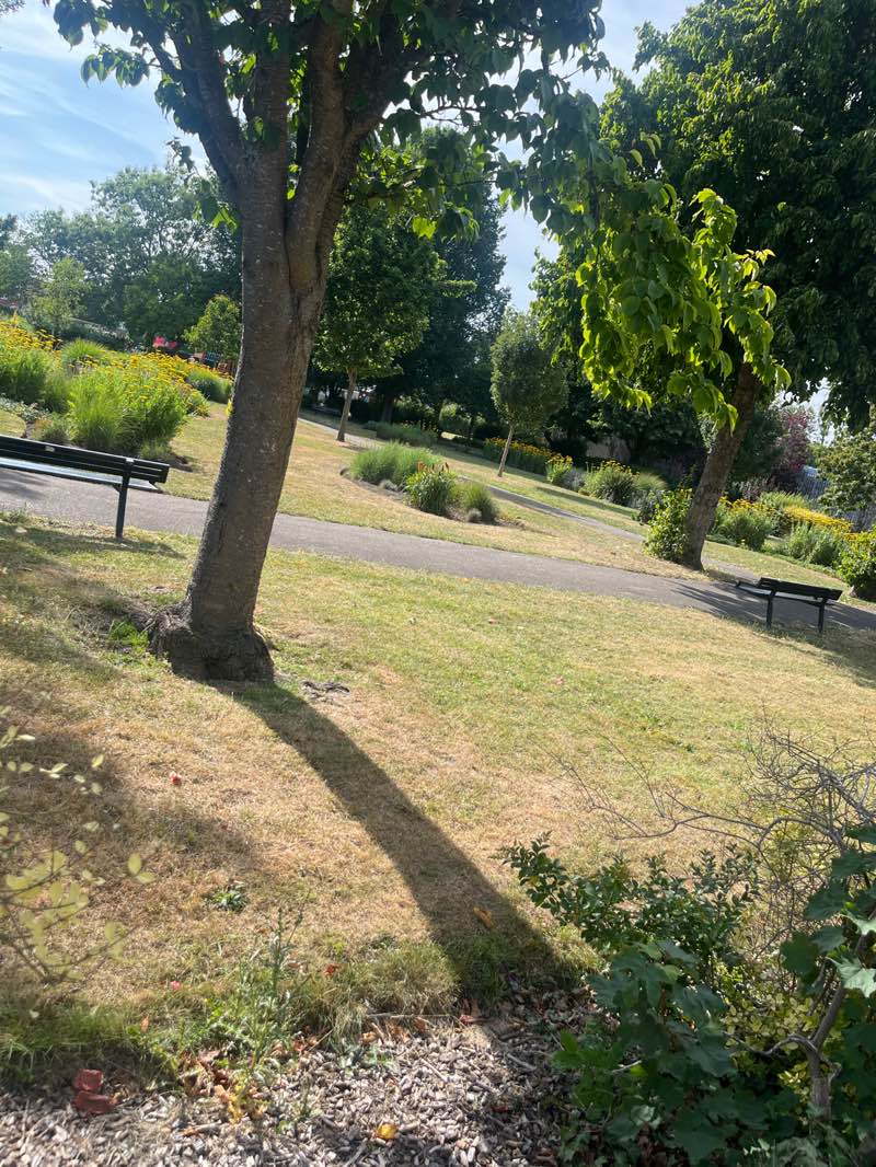 walking near me in College Park in summer