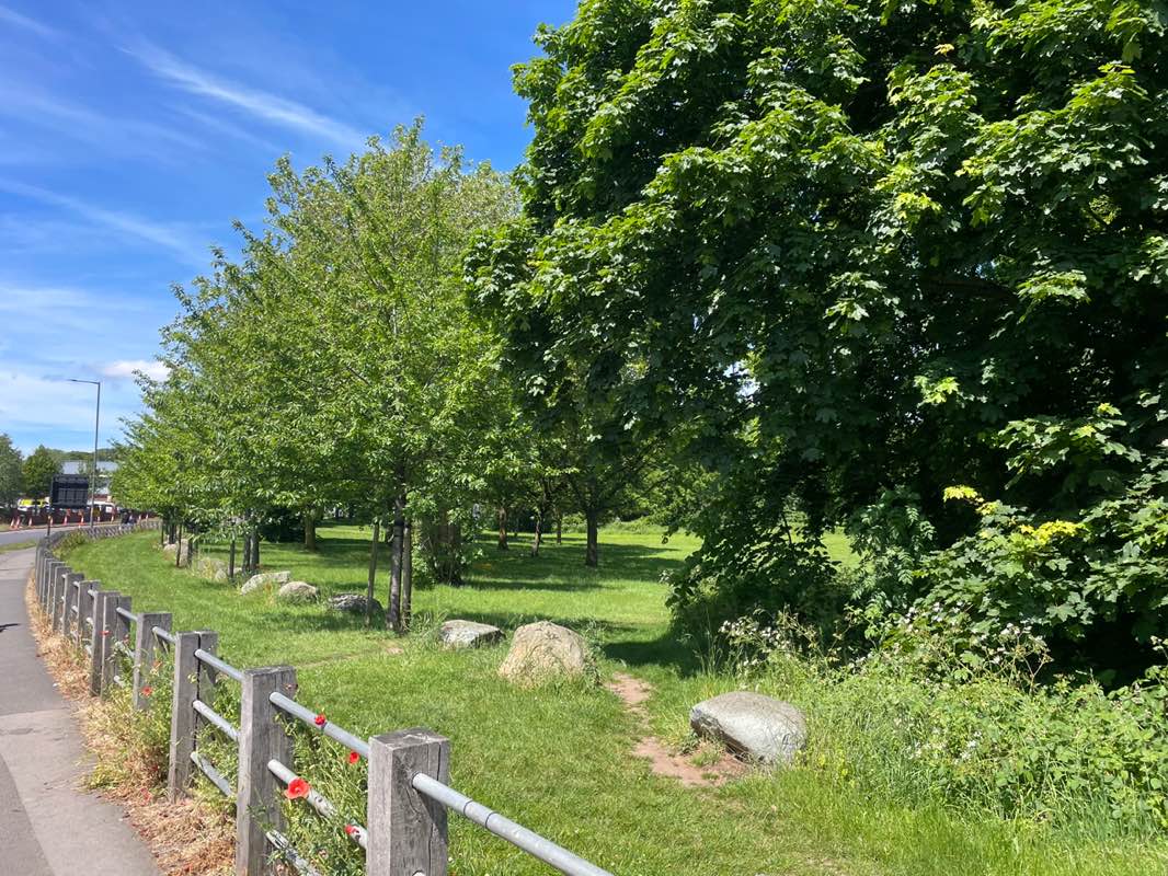 walking near me in Sheldon Country Park in summer