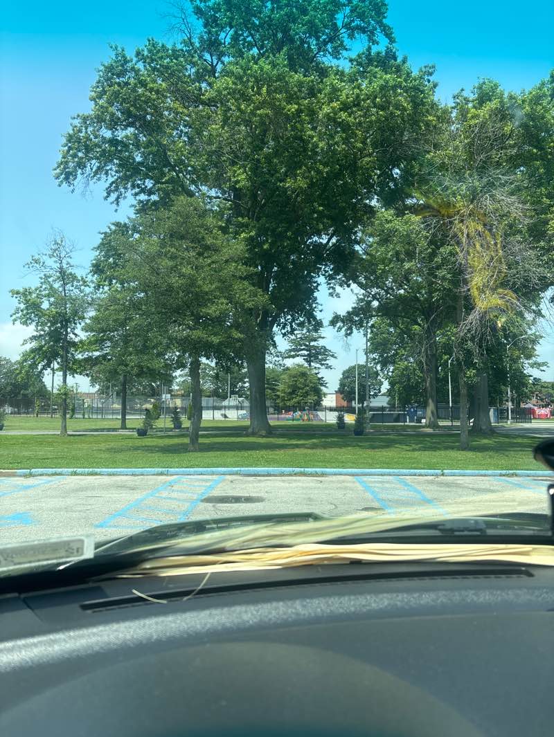 walking near me in Kennedy Memorial Park in summer