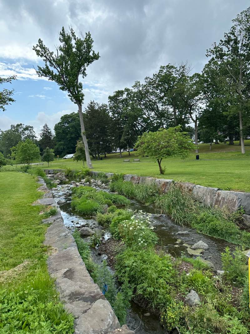 walking near me in Veterans Memorial Park in summer