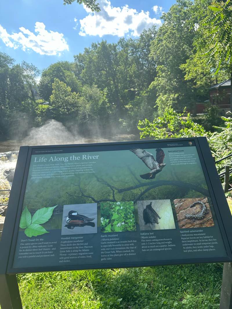 walking near me in Mary Ellen Kramer Park in summer