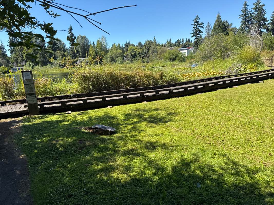walking near me in Forbes Lake Park in autumn