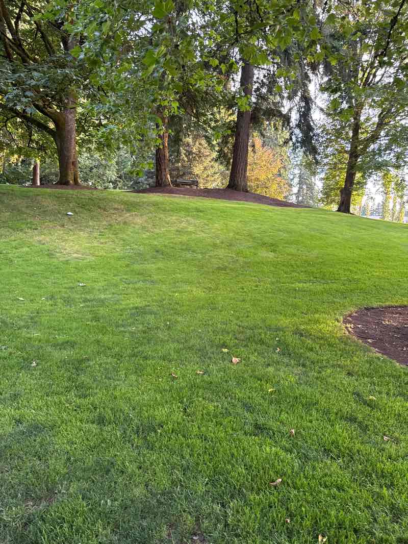 walking near me in Lake Hills Park in autumn