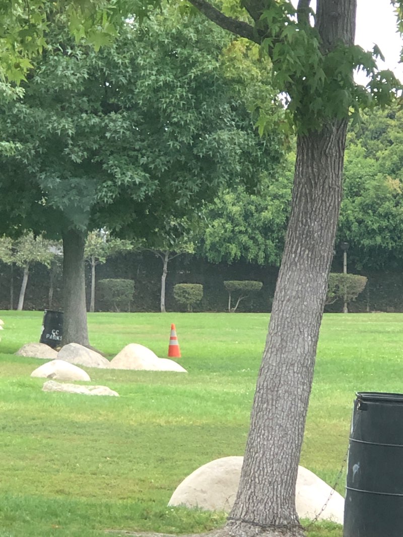 walking near me in Blanco Park in autumn
