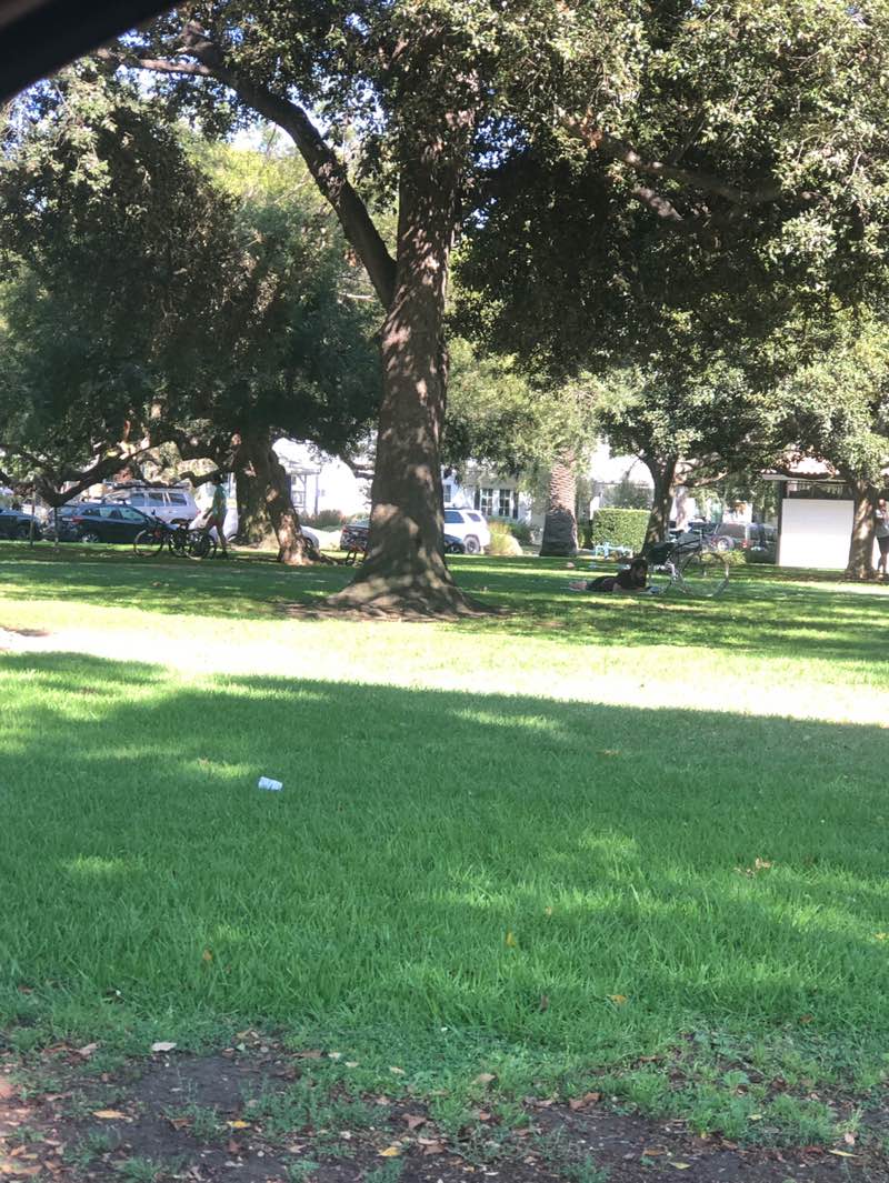 walking near me in Doctor Carlson Memorial Park in autumn