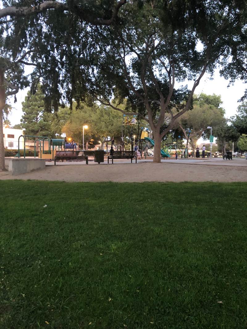 walking near me in Veterans Memorial Park in autumn