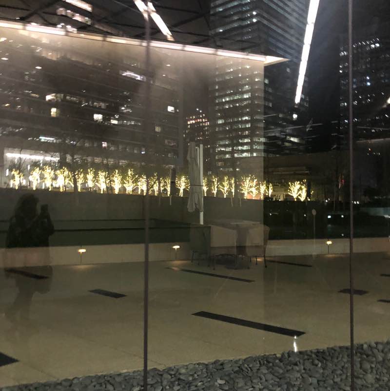 wstanfordlane post 1