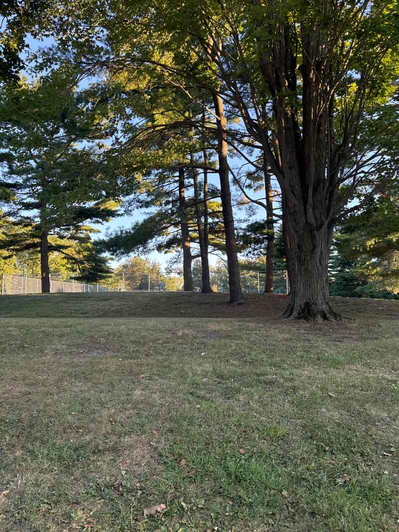 walking near me in Larson Park in autumn