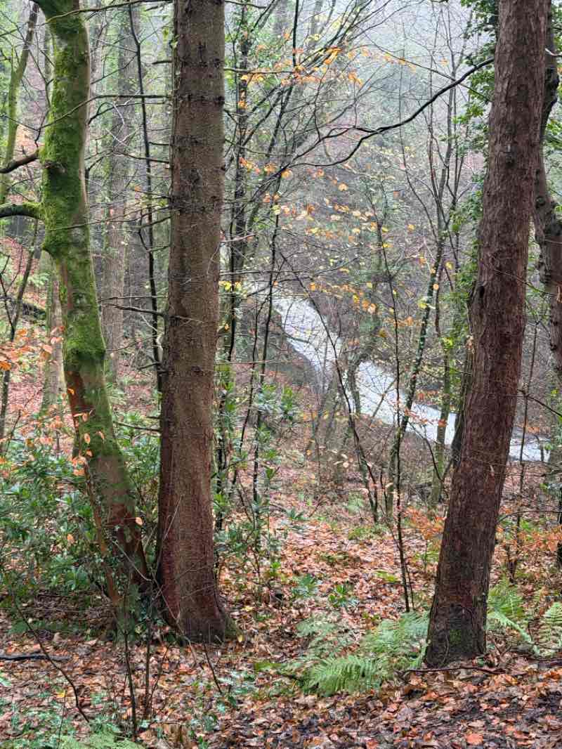 walking near me in Waukglen Park in autumn