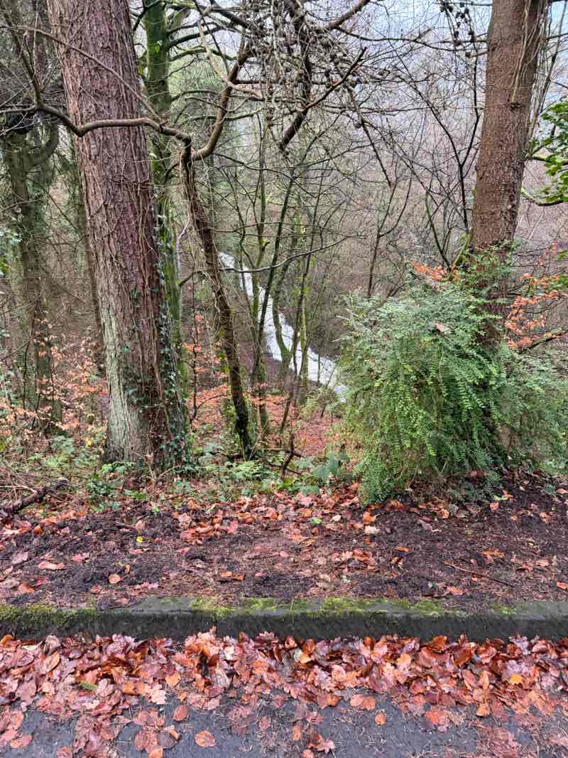 walking near me in Dams to Darnley Country Park in winter