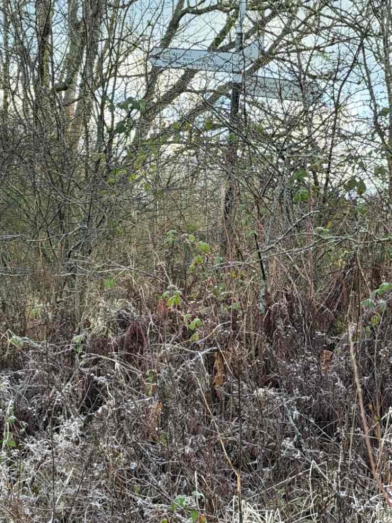 walking near me in Waukglen Park in winter