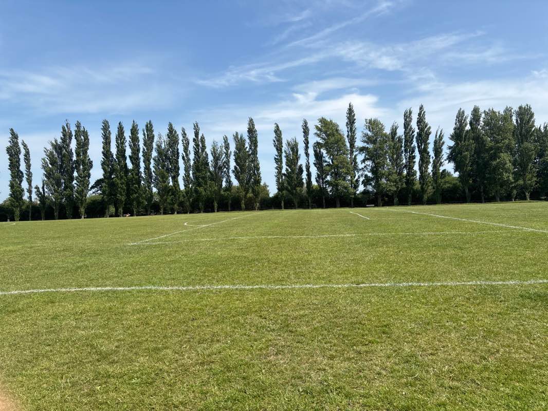 walking near me in Eastwoods Park in summer