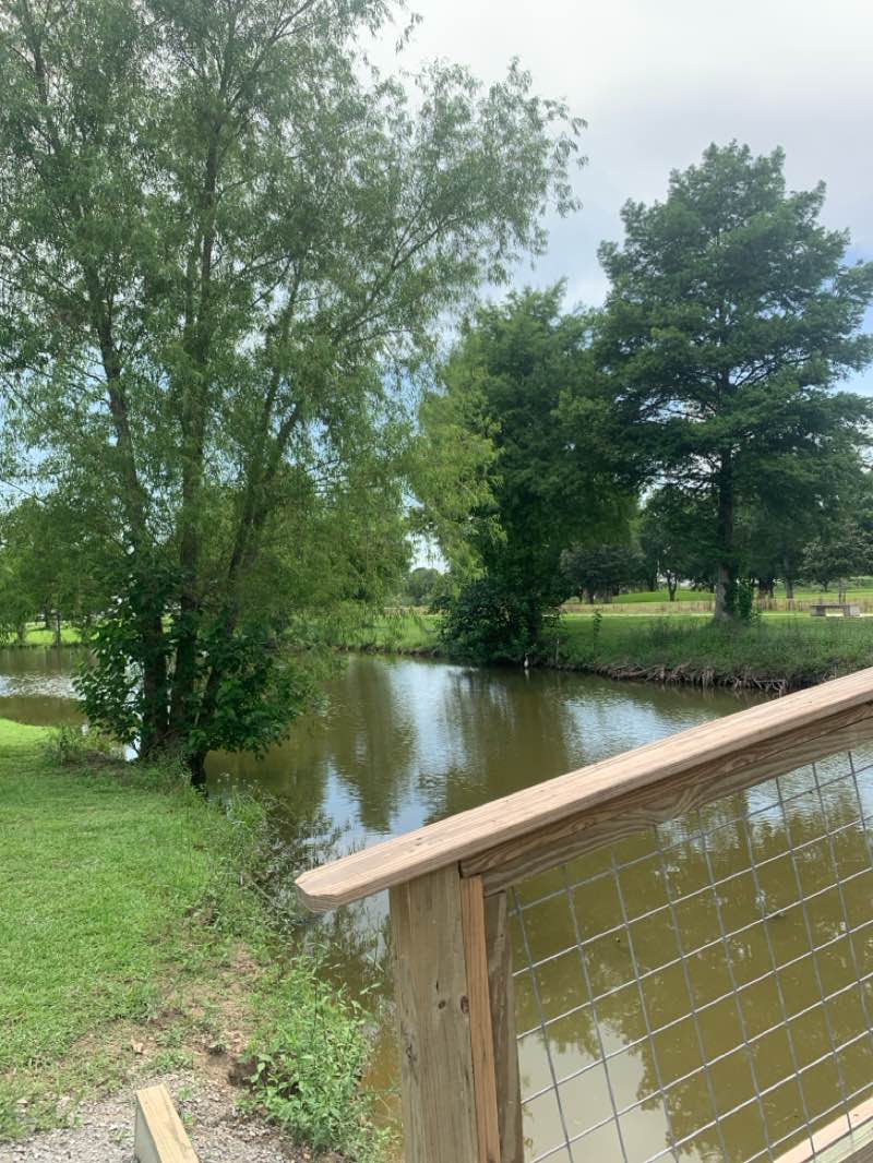 walking near me in Eunice Walking Park in summer