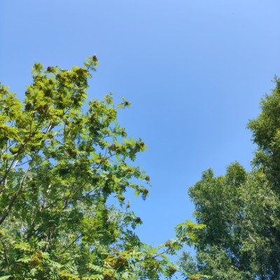 Королевство Кримсон IRINA KRIMSON post image