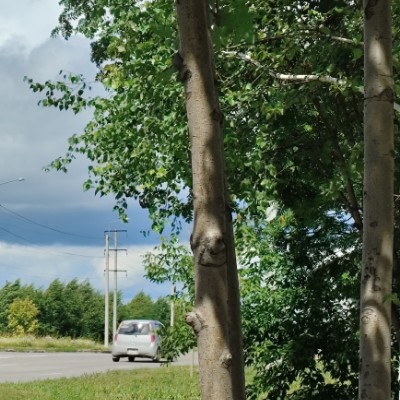 Королевство Кримсон IRINA KRIMSON post image