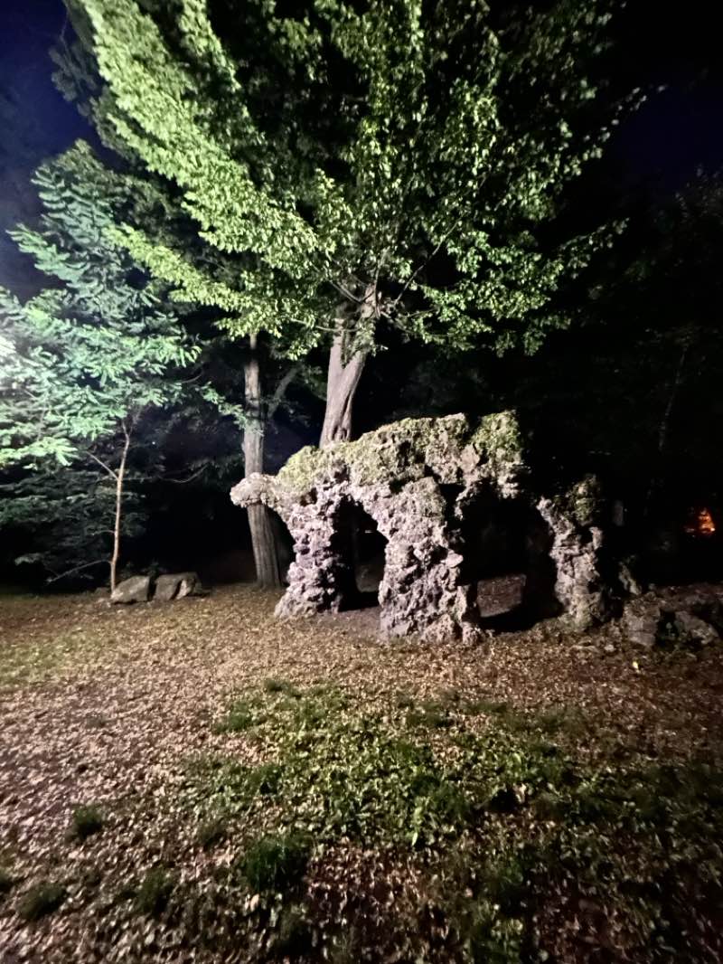 walking near me in Park Źródliska II in autumn