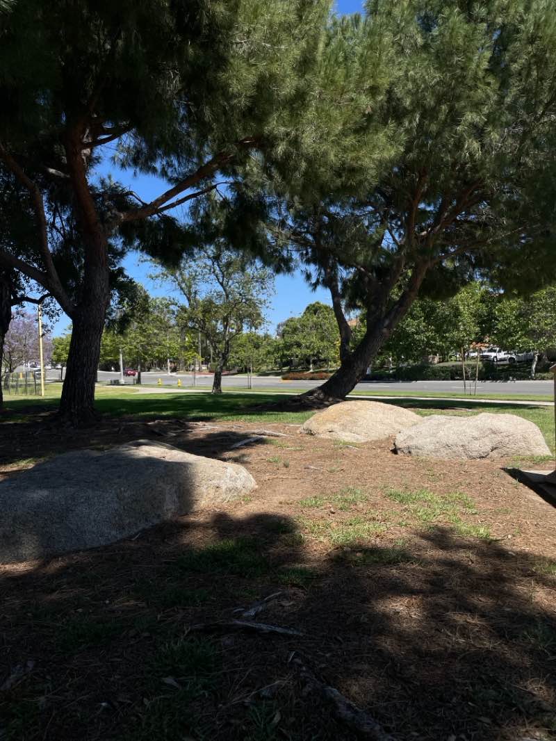 walking near me in Promenade Community Park in summer