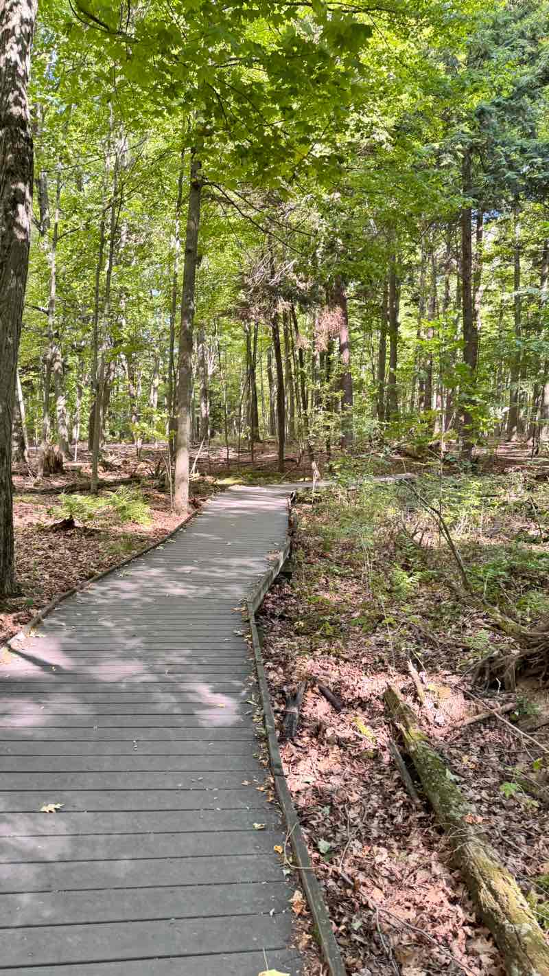 walking near me in Presqu'ile Provincial Park in autumn