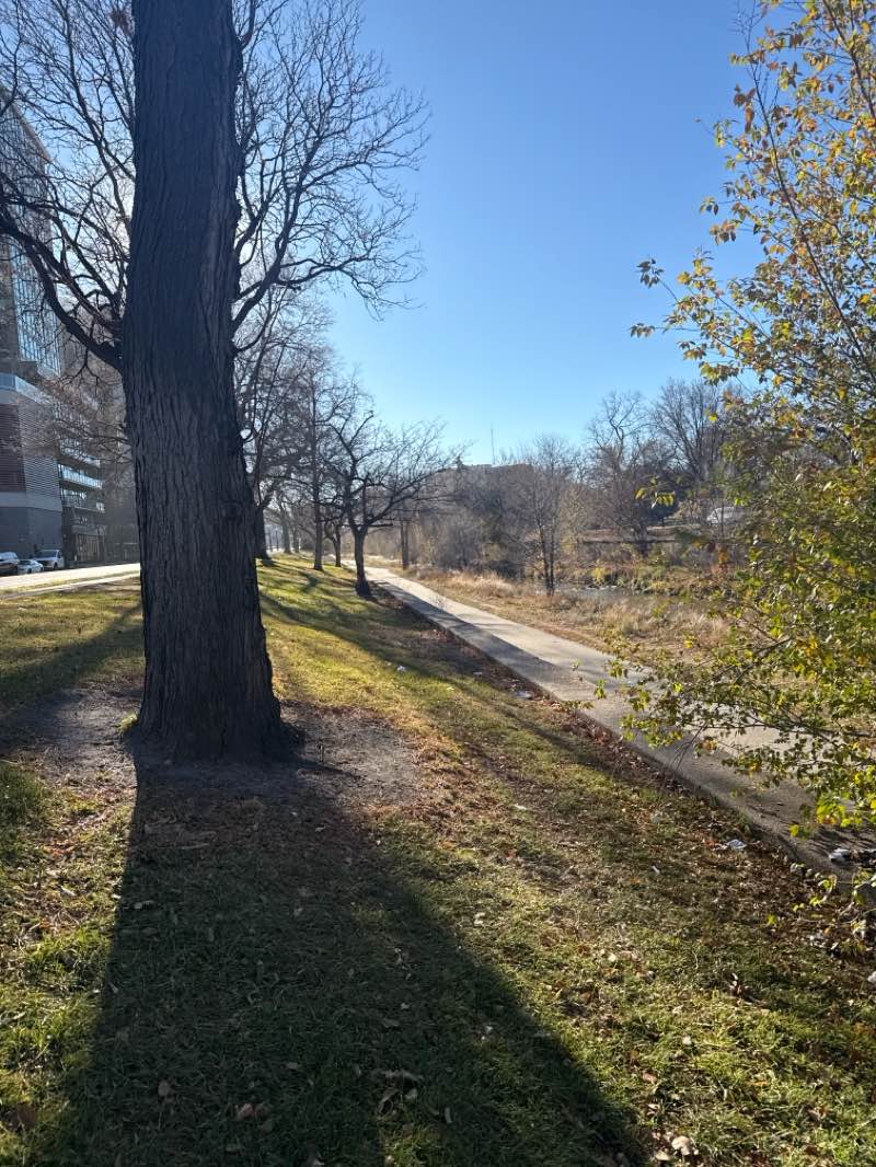 walking near me in Civic Center Park in autumn