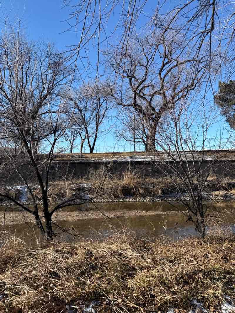 walking near me in Civic Center Park in winter