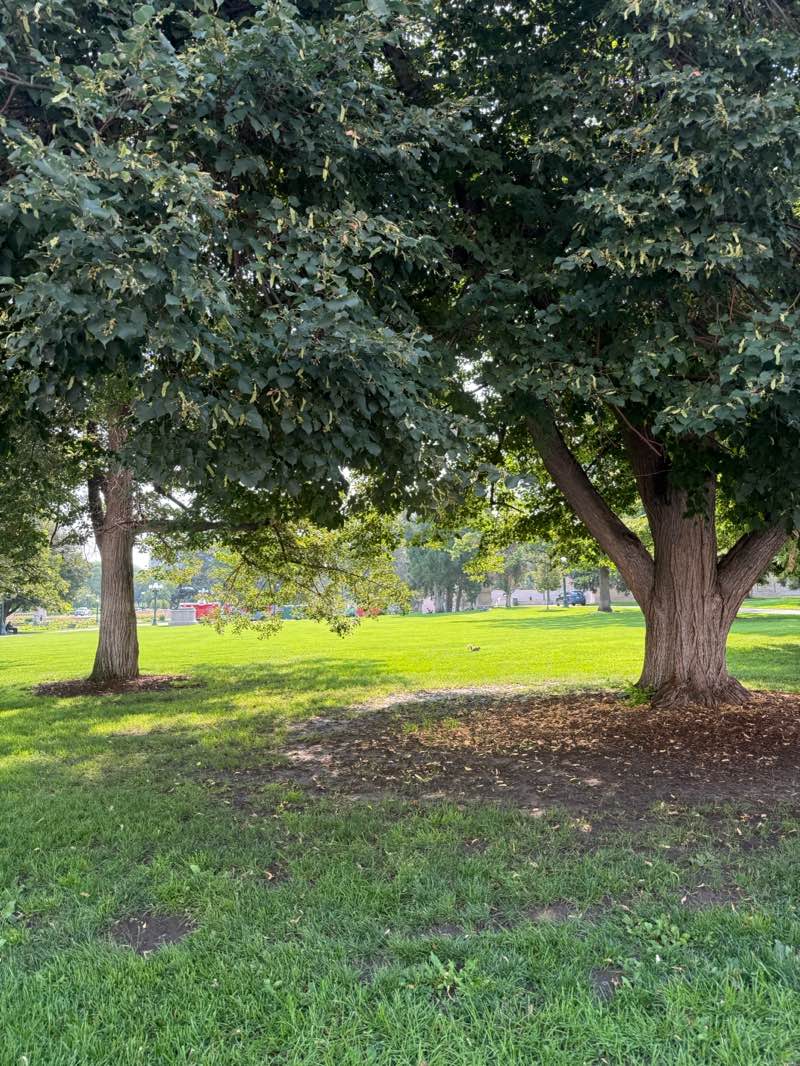 walking near me in Civic Center Park in autumn