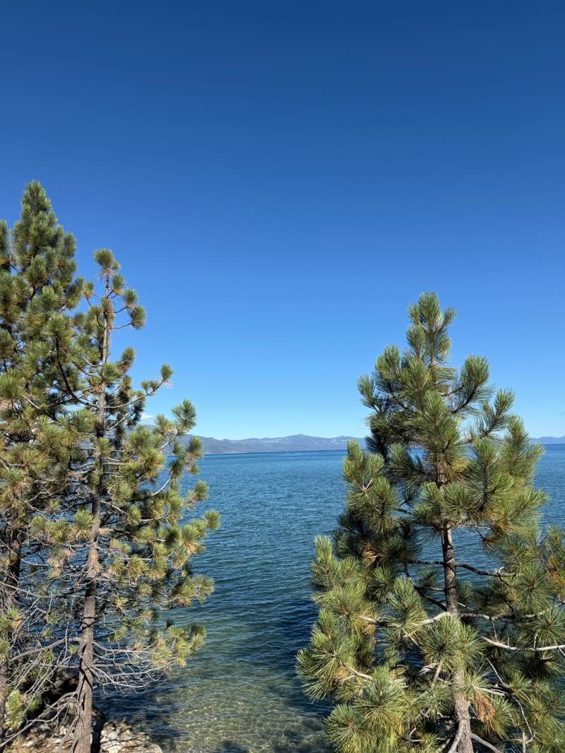 walking near me in Lakeview Commons in autumn