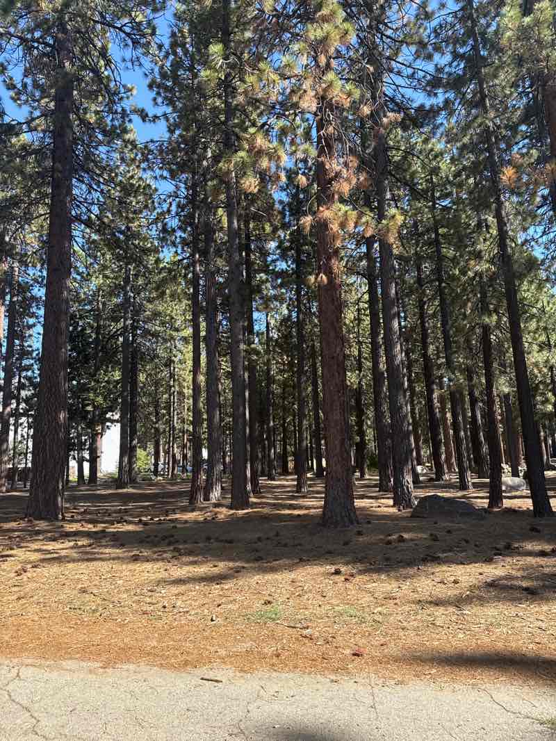 walking near me in South Lake Tahoe Recreation Area in autumn