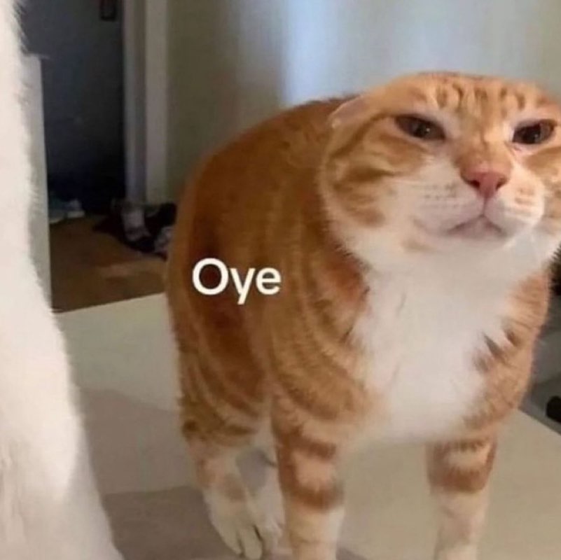 health is wealth Jerika post image