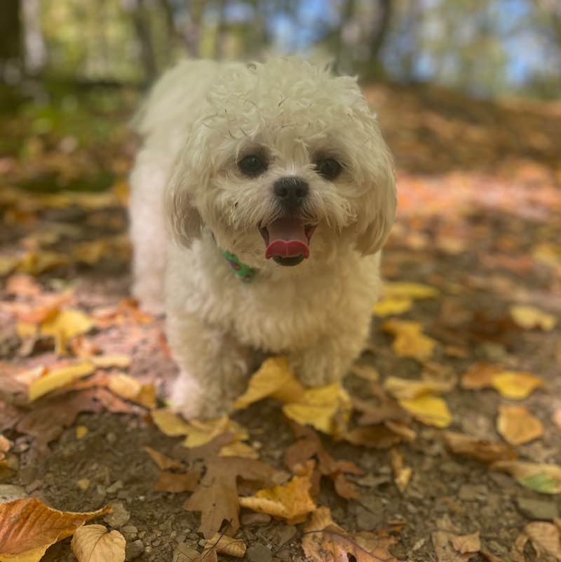 Kali Churchill post 1