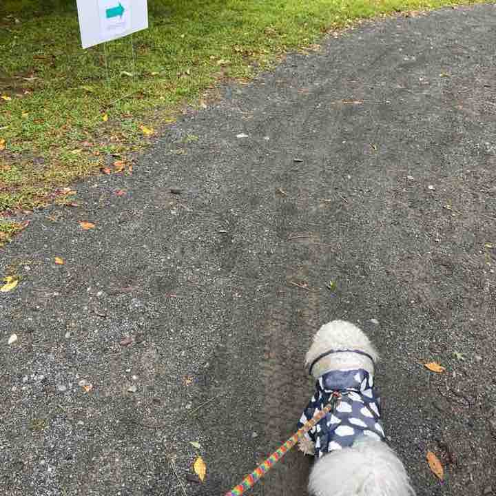 Kali Churchill post 1