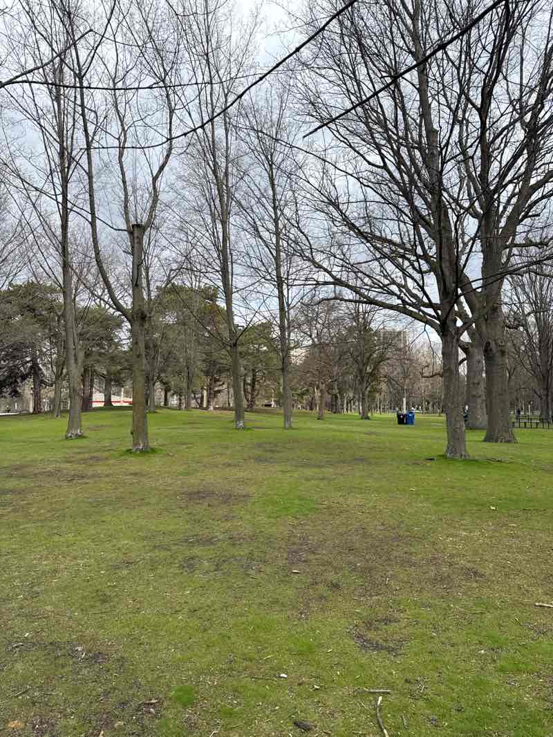 walking near me in High Park in spring