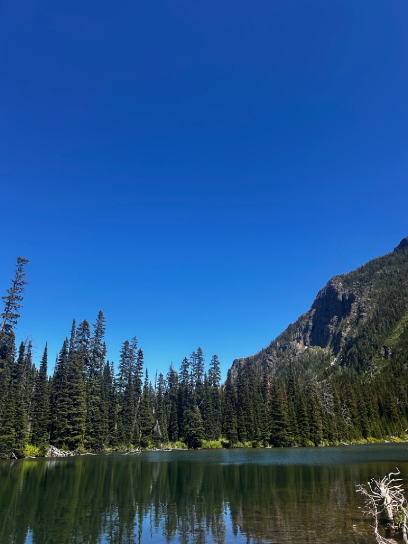 walking near me in Waterton Lakes National Park in summer