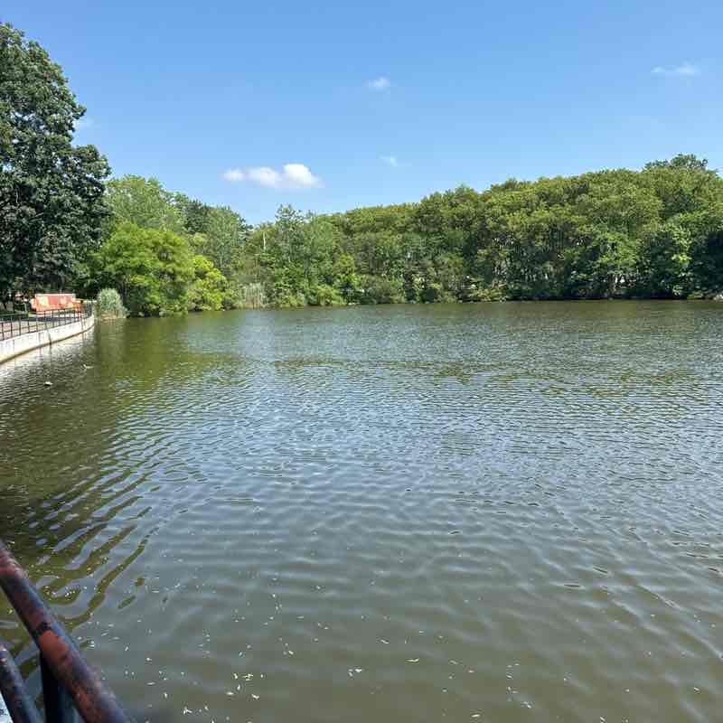 Jouxné Ahmad post 1