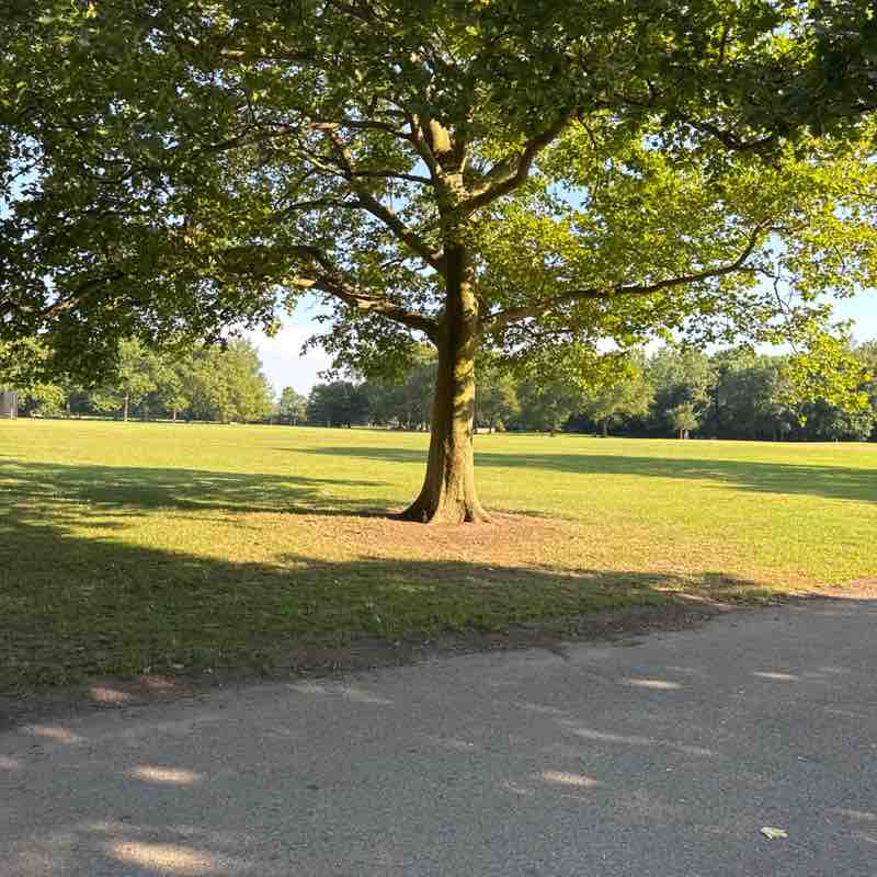 Jouxné Ahmad post 2