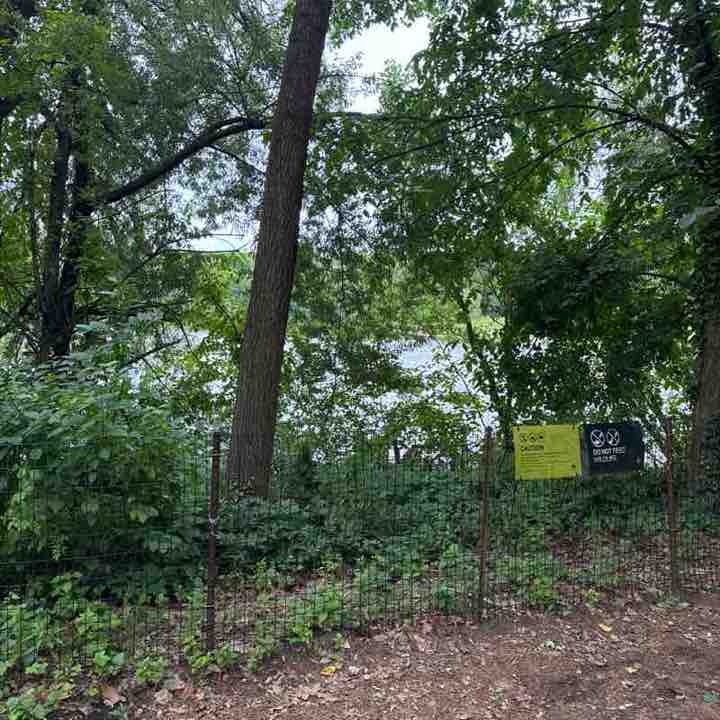 Jouxné Ahmad post 1