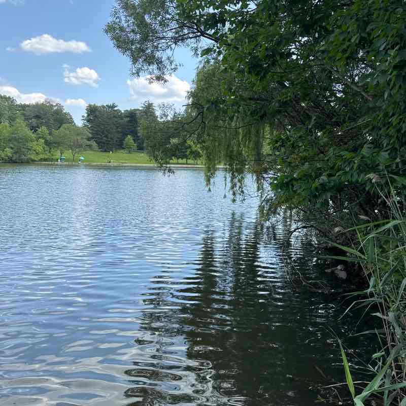 Jouxné Ahmad post 1