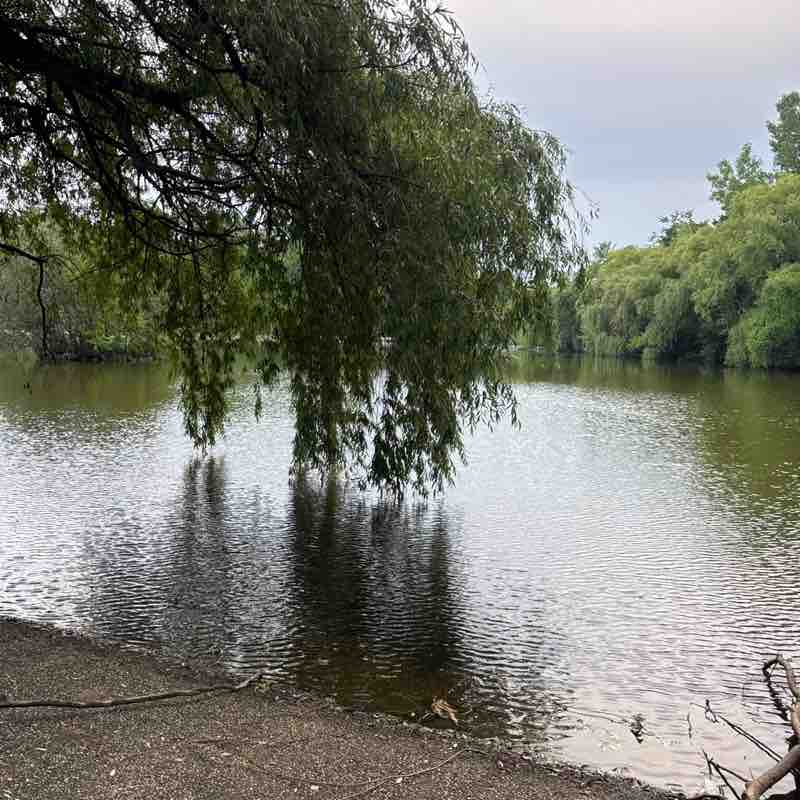 Jouxné Ahmad post 1